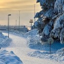  Arctic Experience & Free Time