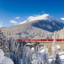  Scenic Rail Journey: Glacier Express or Bernina Express