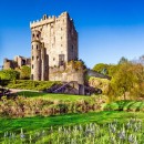  Blarney Castle, English Market & Cobh