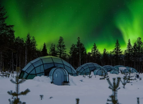 Glass Igloo & Northern Lights Experience