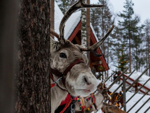 Santa Claus Village Escape