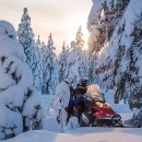 Snowmobile Safari Through the Frozen Forests