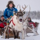 Reindeer Safari & Santa Claus Village