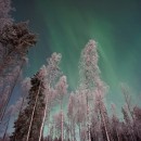 Fly from the UK to Lapland