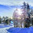 Fly from the UK to Lapland