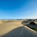 Maspalomas Dunes at Leisure