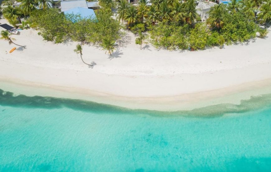 Surftreat Maldives