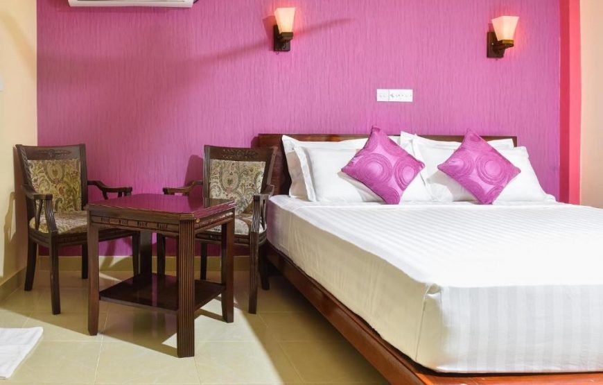 Surftreat Maldives
