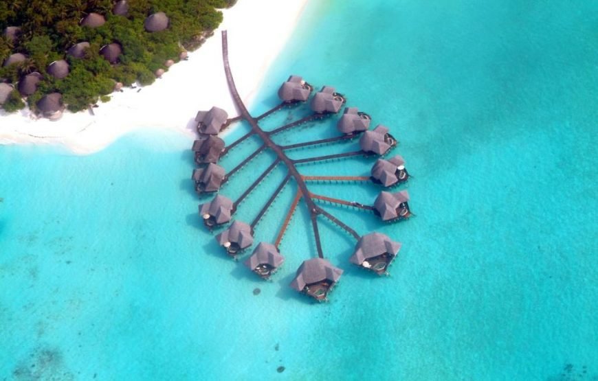 Coco Palm Dhuni Kolhu  Maldives