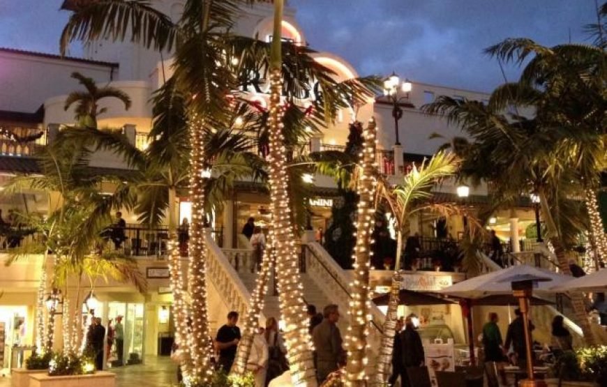 Coconut Grove Green Day’s, Miami