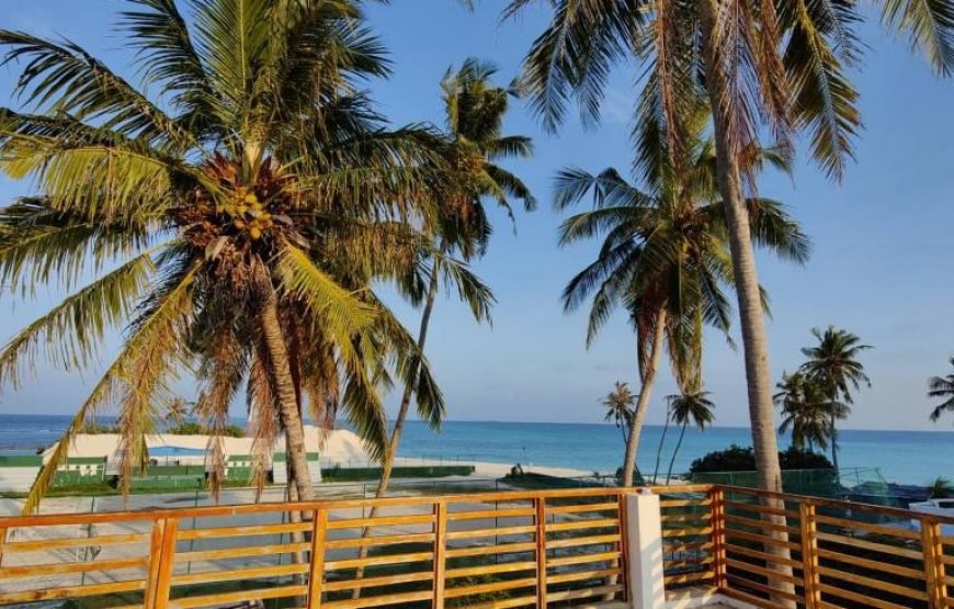 Cowry Inn Maldives
