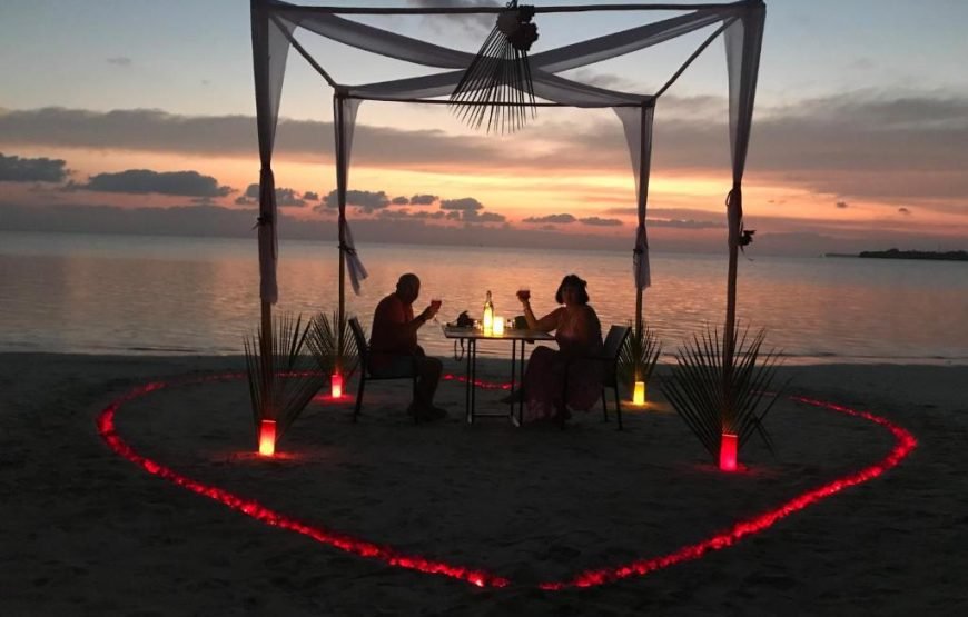 Olive Goidhoo Maldives