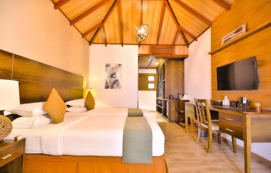 Plumeria Maldives